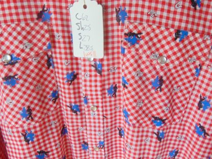 lws11	DC Brand Tall Man Swing Dance Western Vintage Shirt XL	$60 - Image 3