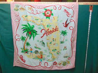 qa64 Ladies Florida Souvenir Scarf $40