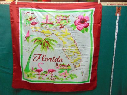 qa65 Ladies Wyoming Souvenir Scarf $40