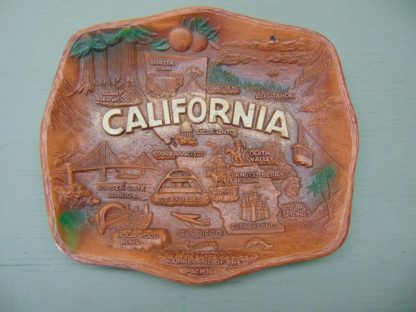 k163		Vintage California Souvenir Wall mount Resin Tray	$20