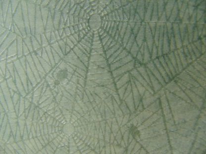pa13		18 Vintage European Photo album lucent sheets with SPIDERS and WEBS	$60