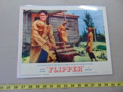 pa431		Vintage Laminated Lobby Card	$8