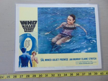 pa481		Vintage Laminated Lobby Card	$8